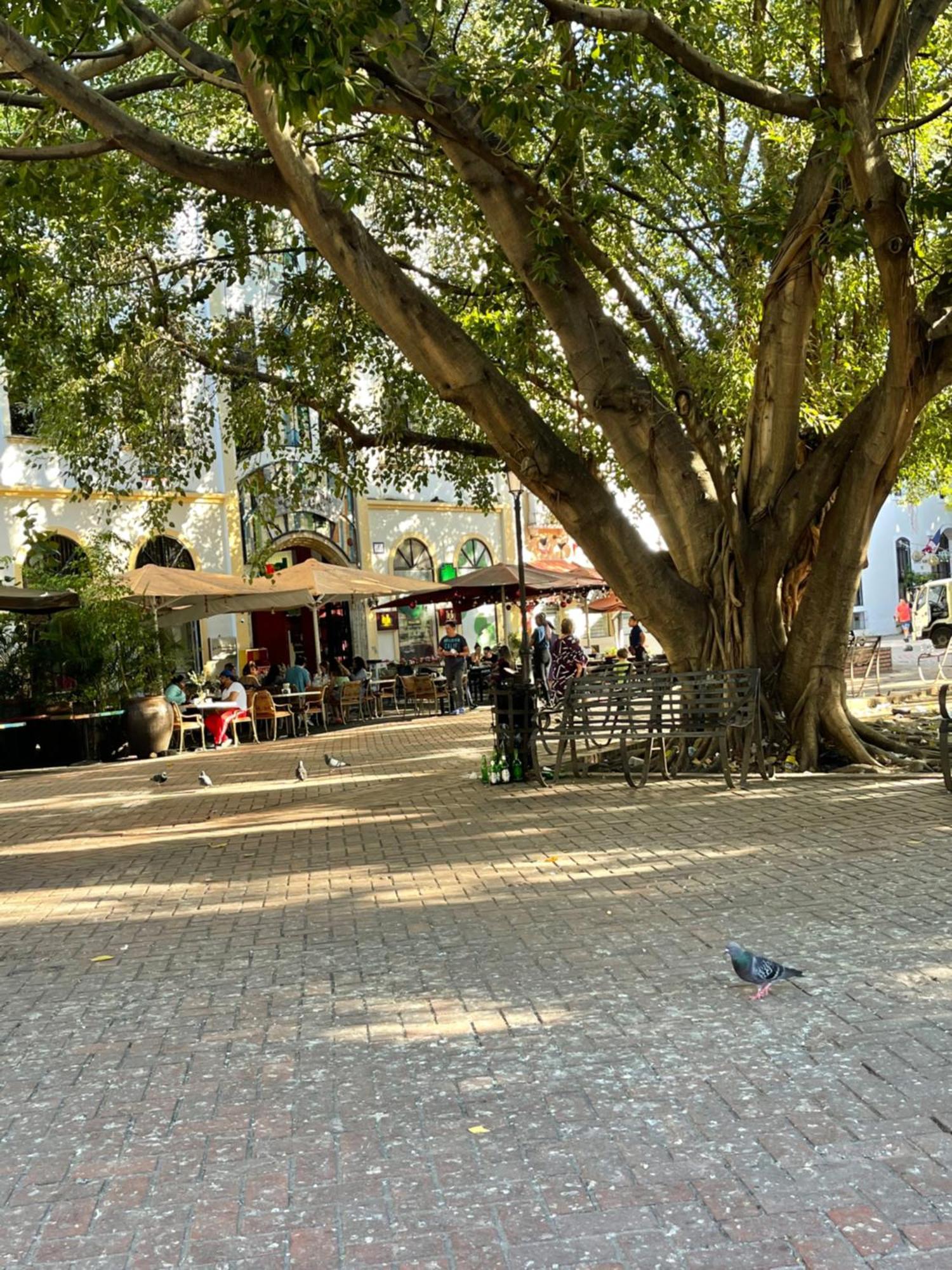 Studio 27 Colonial, Centro Historico ซานโตโดมิงโก ภายนอก รูปภาพ